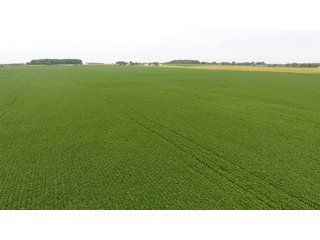Property photo 35 - IMPORTANT OHIO LAND AUCTION - 325.5+/- ACRES OFFERED IN 8 TRACTS IN PICKAWAY COUNTY, OHIO
